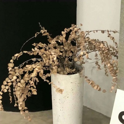 Furry兽圈经典作品解读FurryQQ群